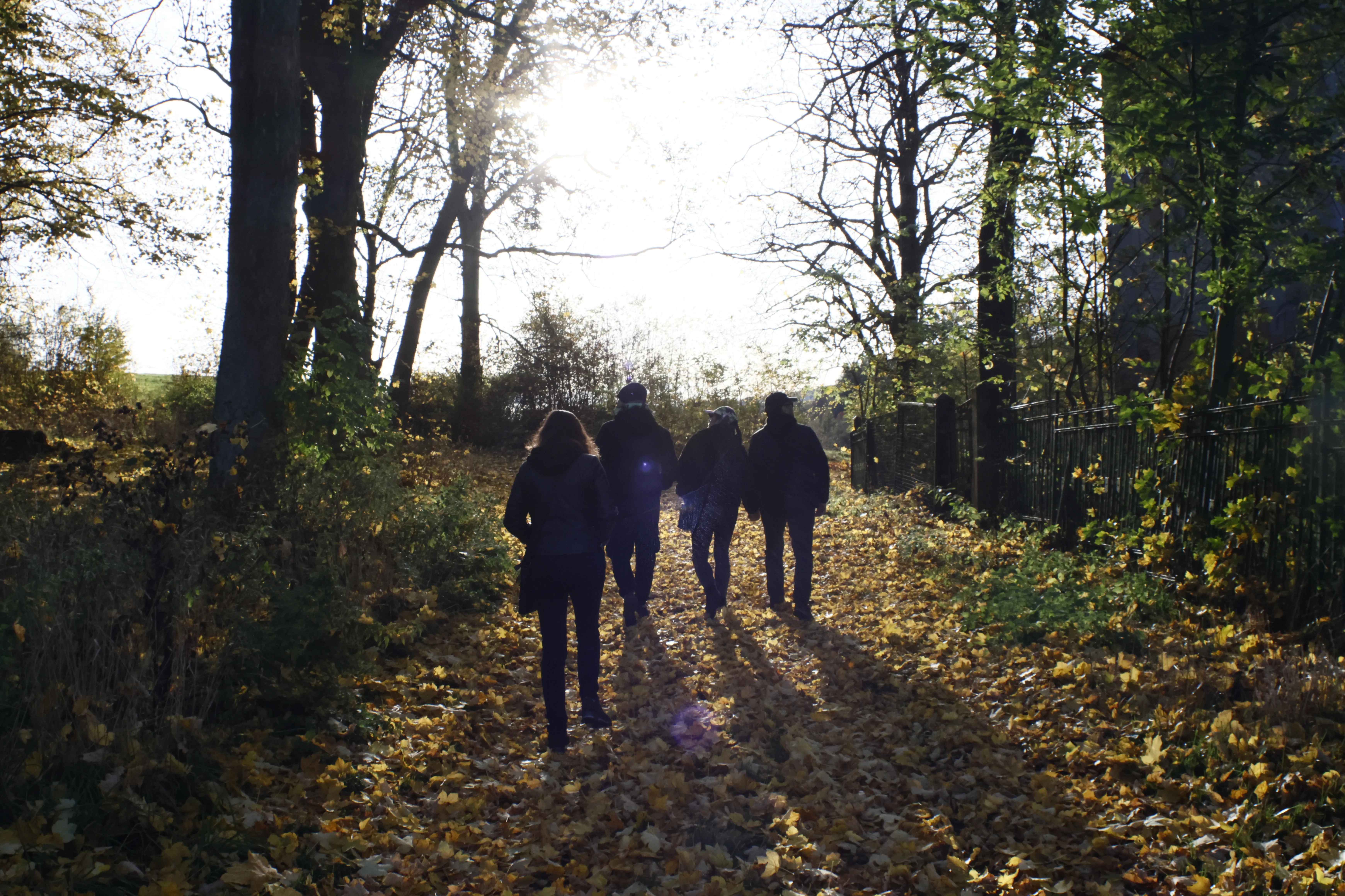 Carl Zeiss Flektogon 4 20 (m42) - _I4A9450.webp